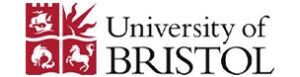 Ian Greaves 4 uob logo 300x77 1